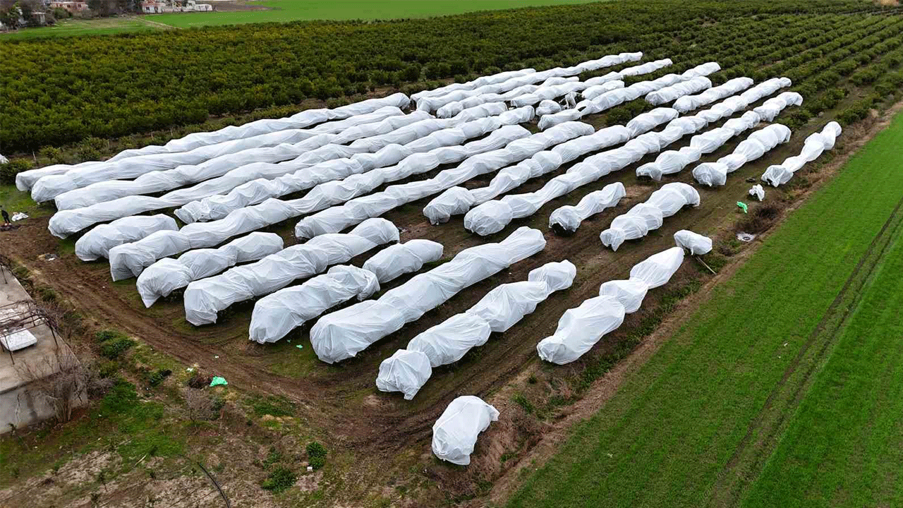 Adana’da çiftçi, limon ağaçlarını eksi 4 dereceden korumak için 15 dönümü fileyle ördü
