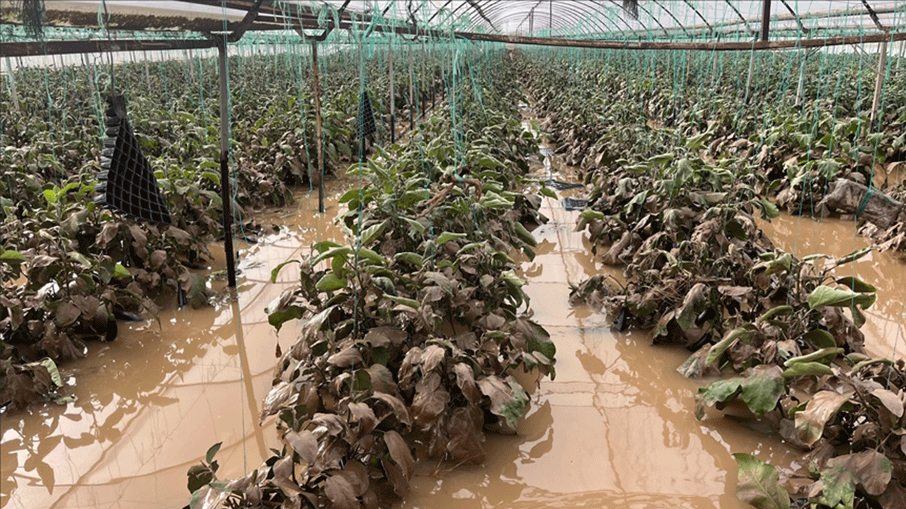 Antalya Kumluca’da sağanak sonrası hasar tespitleri başladı