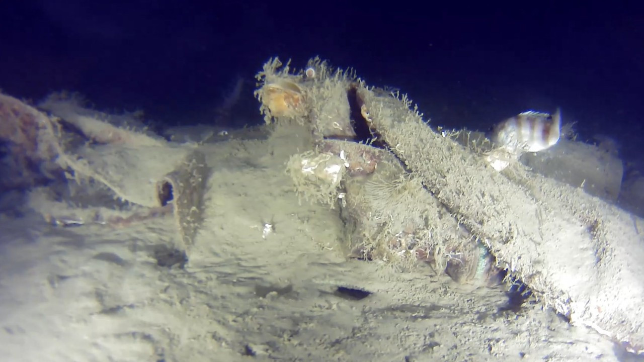 50 yıl önce Marmara Denizi'ne düşmüştü: THY uçağına ait yeni parçalar bulundu