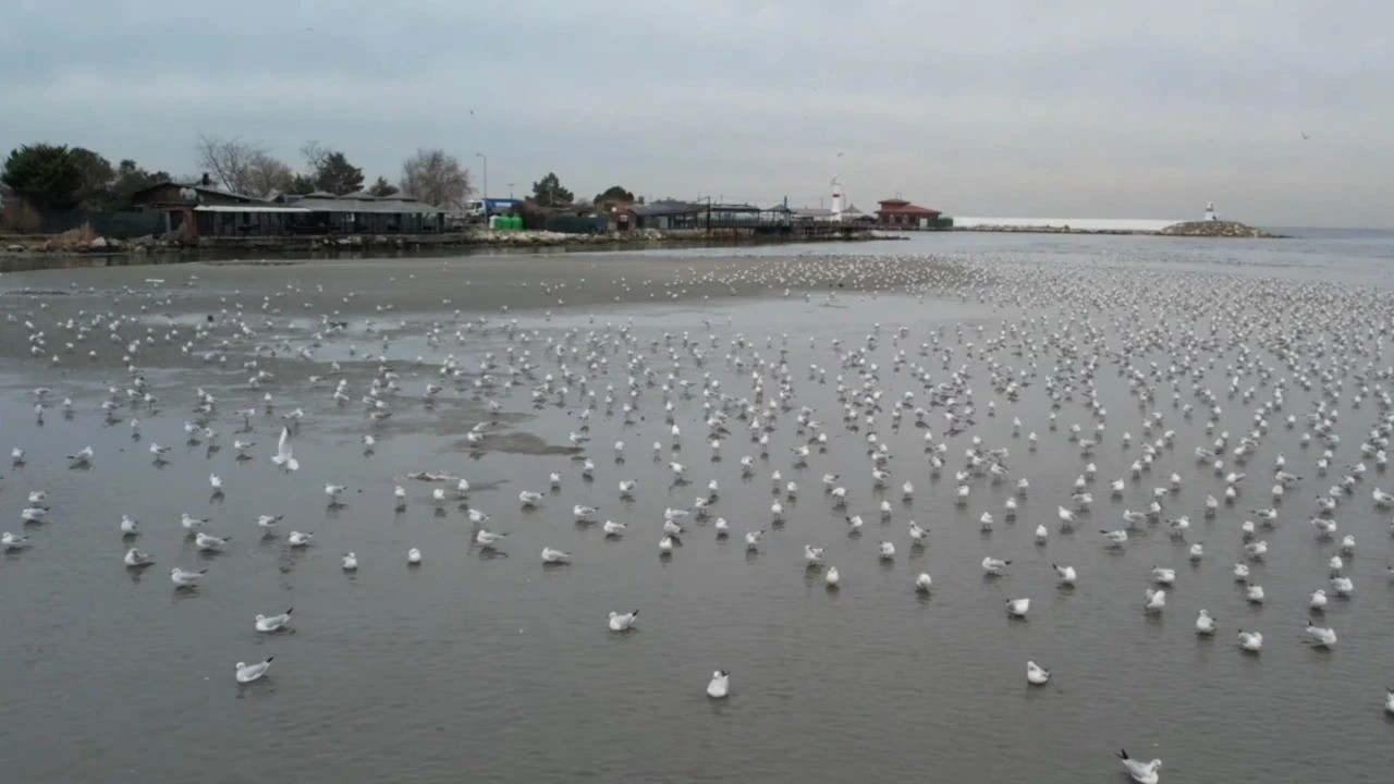 İstanbul'da deniz metrelerce çekildi: Vatandaşlar tedirgin oldu