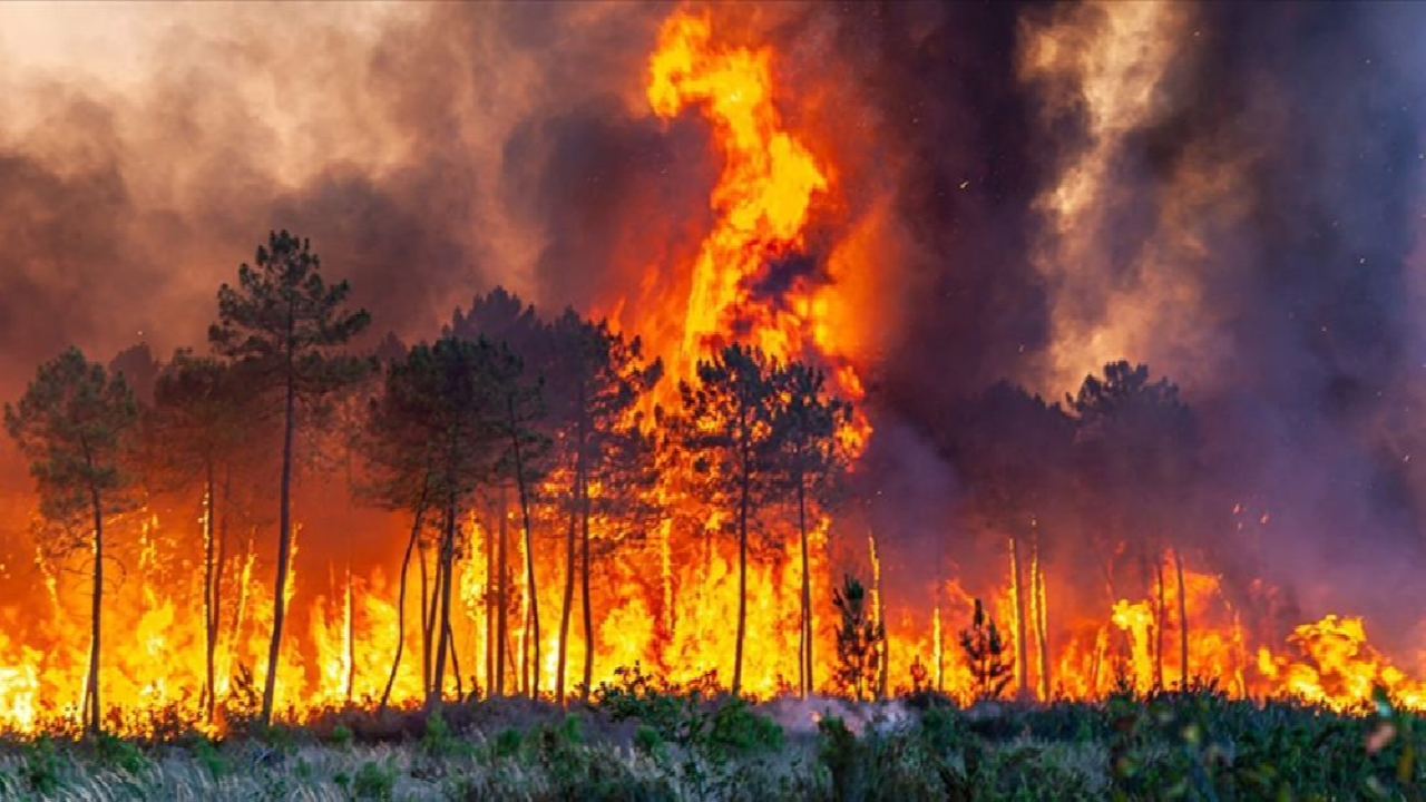 Aon: 2025'te doğal afetler küresel ekonomiden 260 milyar dolar sildi