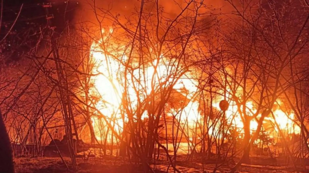 Ordu'da esrarengiz ölüm! Yanan evinin yanında ağaçta asılı cesedi bulundu