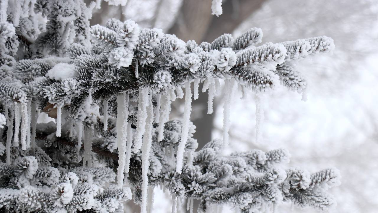 Meteorolojide 2025'in 'en'leri açıklandı: Eksi 35 ile rekor kırdı