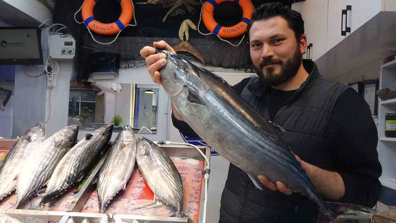 Çanakkale’de torik balığı, yüksek fiyatına rağmen ilgi gördü