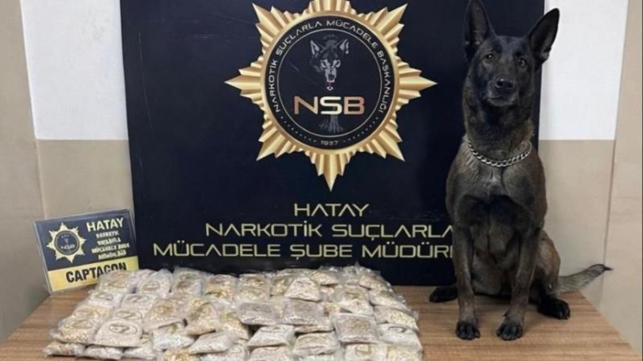 Zeytinyağı tenekelerinden 100 bin uyuşturucu hap çıktı