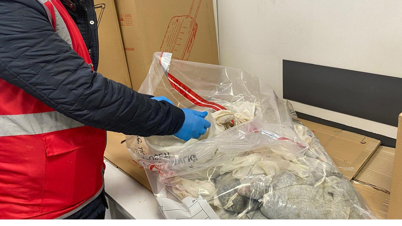 90 bin tıbbi sülüğün ülkeye yasa dışı girişi engellendi