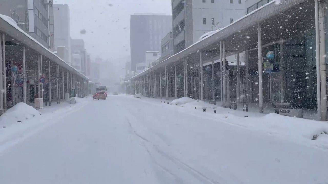 Japonya'da şiddetli kar yağışı sürüyor: Can kaybı 45'e yükseldi