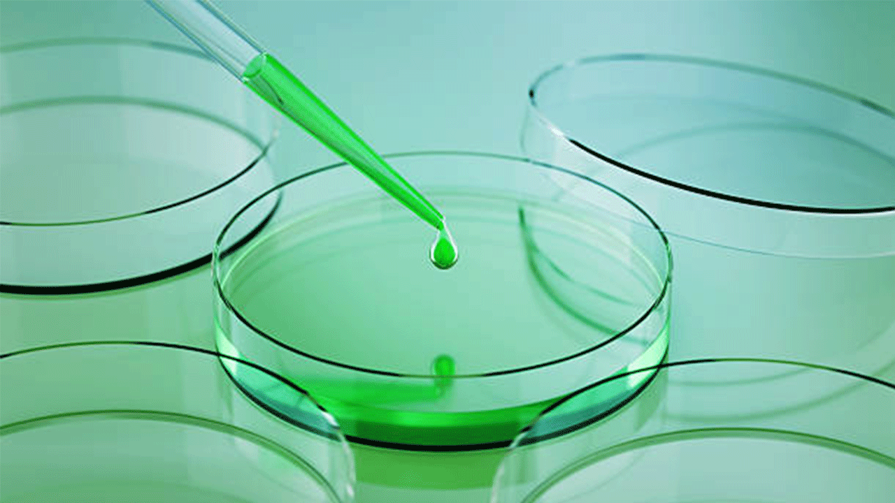 ABD’de “yasadışı biyolojik laboratuvar” işlettiği iddiasıyla bir İsrail vatandaşı gözaltına alındı