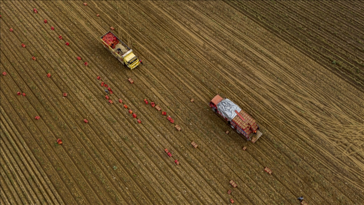 Tarım sezonunun ilk üç ayında yağışlar yüzde 20 azaldı