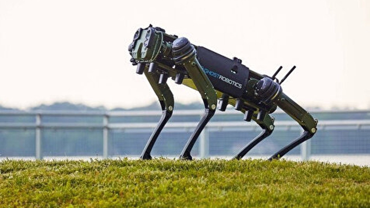 Güvenlikte yeni dönem: 2026 Dünya Kupası’nda robot köpekler görev alacak