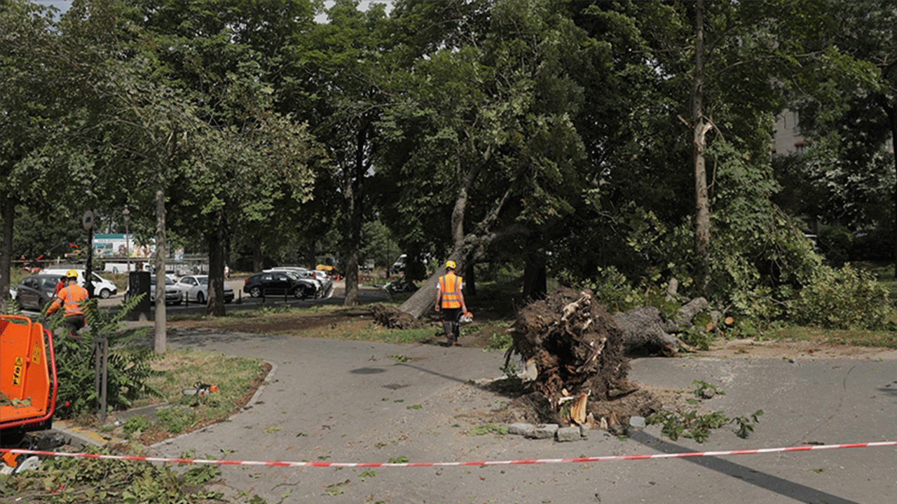 Fransa'da Nils Fırtınası nedeniyle 450 bin hanede elektrik kesintisi sürüyor