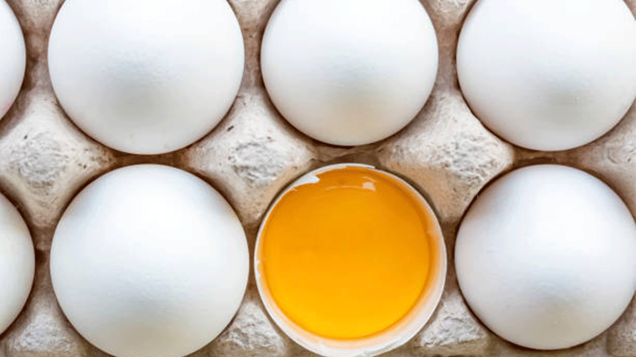 Türkiye'de yumurta üretimi geçen yıl geriledi