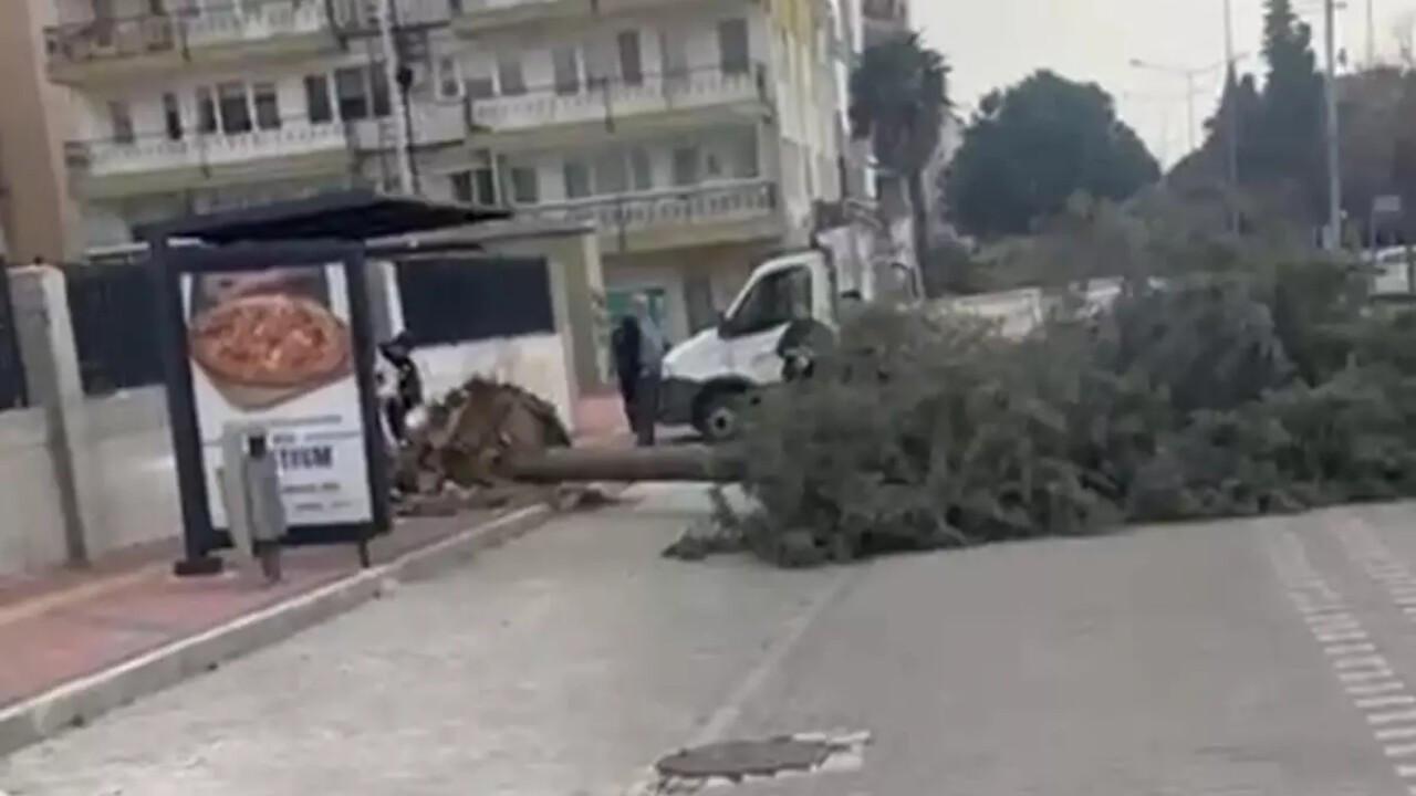 Çanakkale'yi fırtına vurdu: Ağaçlar devrildi, bir balkon duvarı yıkıldı