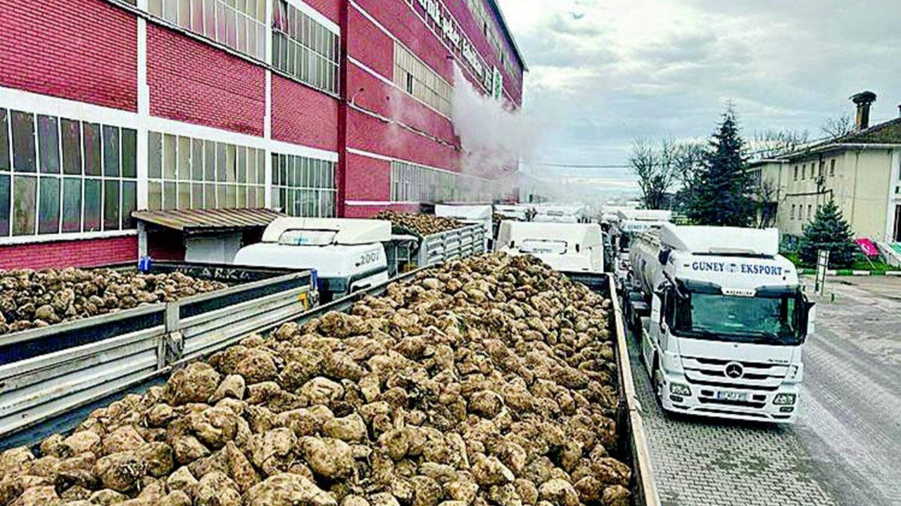 Şekerde arz fazlası fiyatları düşürdü, sözleşmeli üretim tehlikeye girdi…