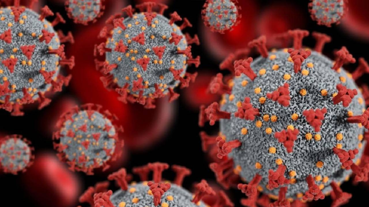 Nijerya'da Lassa ateşi nedeniyle ölenlerin sayısı 70'e yükseldi