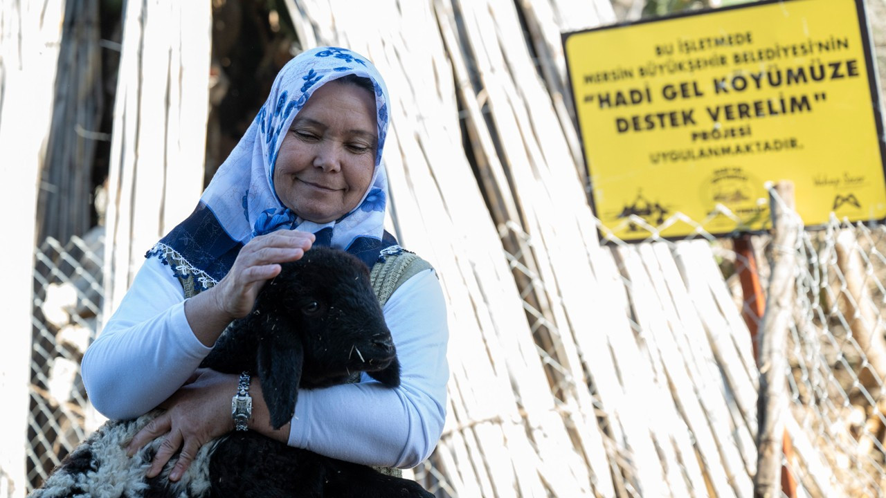 Mersin Büyükşehir tarafından 7 yılda 9 bin küçükbaş hayvan dağıtıldı