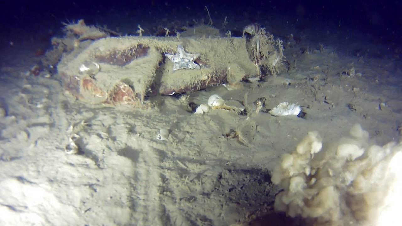 THY'nin 51 yıl önce düşen uçağına mı ait? Yeni parçalar bulundu (Video)