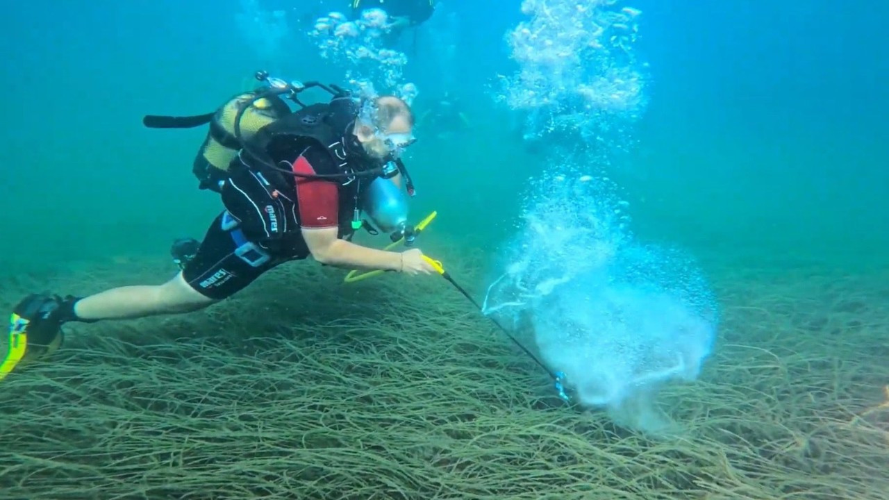 Garanti BBVA ve TURMEPA "Mavi Nefes Projesi" ile deniz çayırlarını koruyor