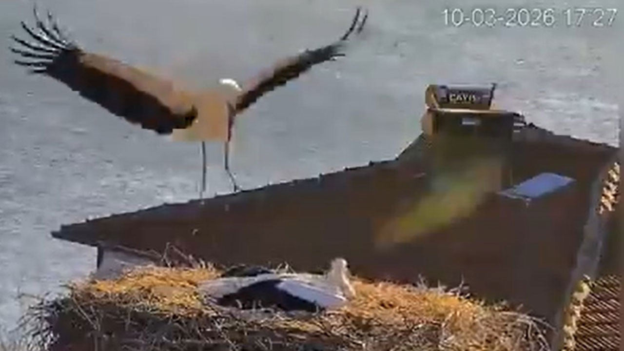 Yaren Leylek, eşi Nazlı ile de buluştu