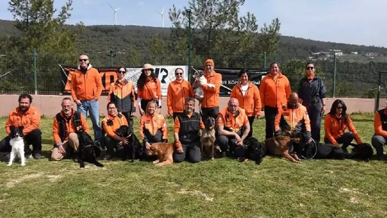 Arama kurtarma köpekleri, felaketlerde hayat kurtarmak için en etkili yöntem