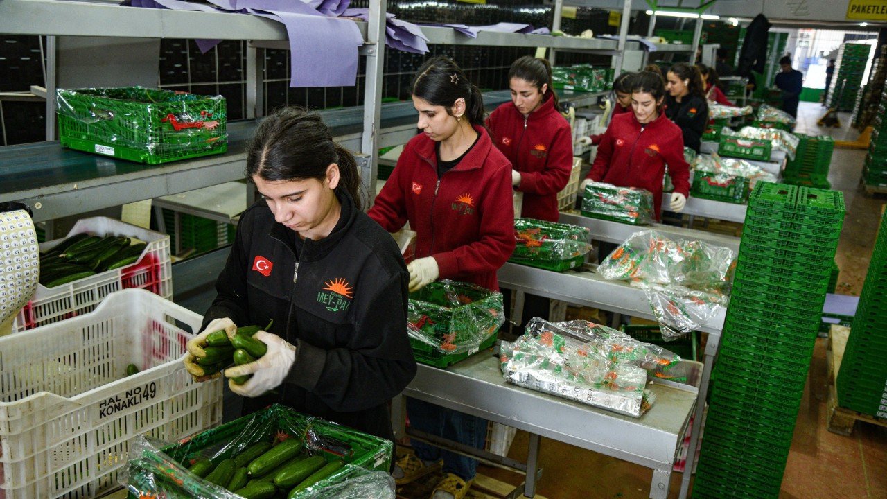 İran savaşı sonrası Rusya’nın sebze rotası Türkiye'ye döndü