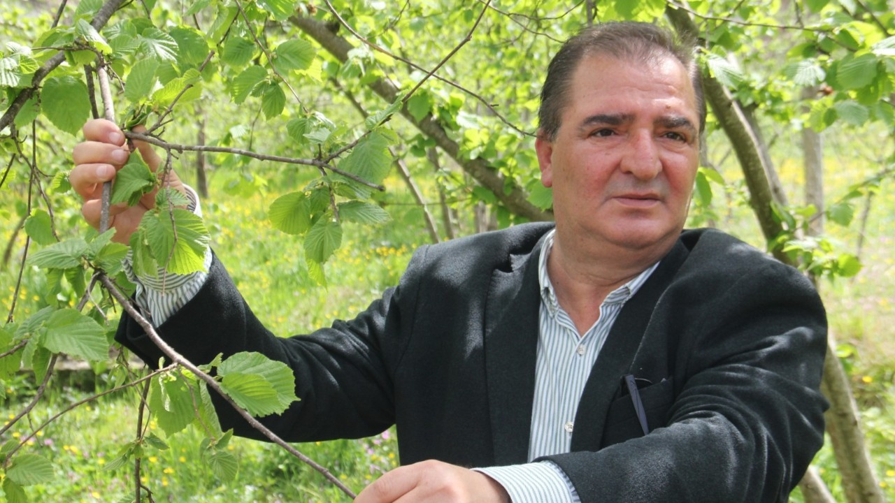 Türkiye’nin fındık ihracatı geriledi