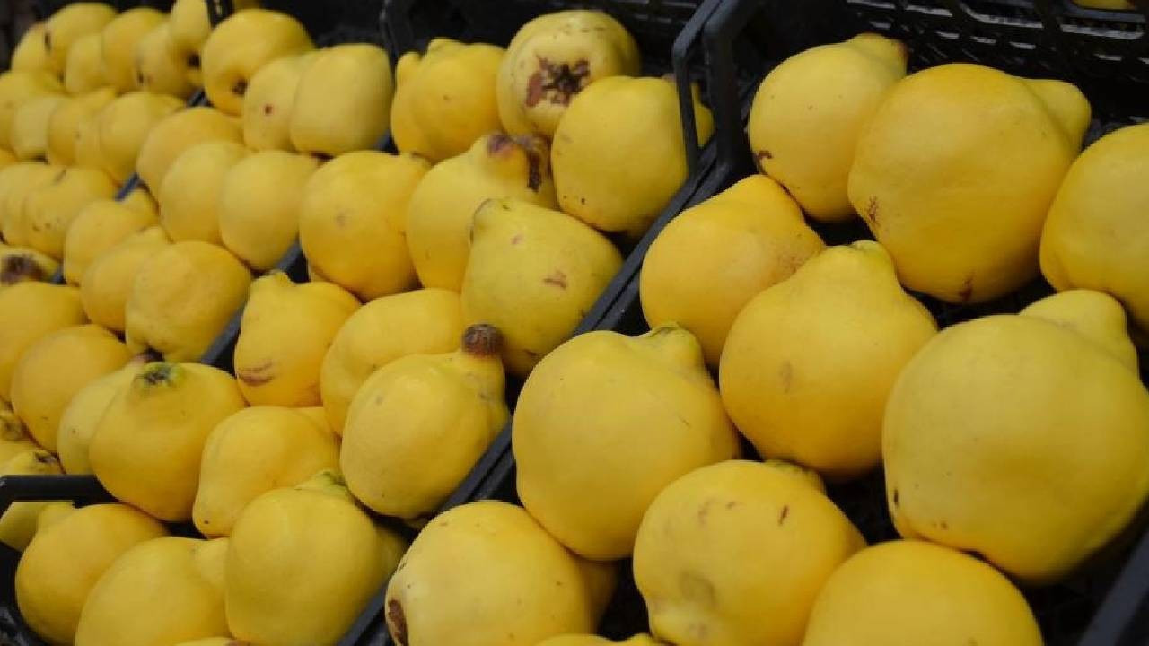 Ayvanın kilosu 300 liraya dayandı, yemek lüks oldu