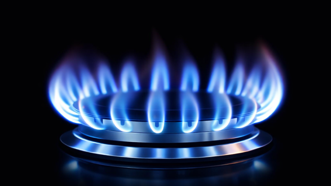 Almanya’nın enerji hattında yeni rota: Tek kaynaklı LNG dönemi kapanıyor mu?