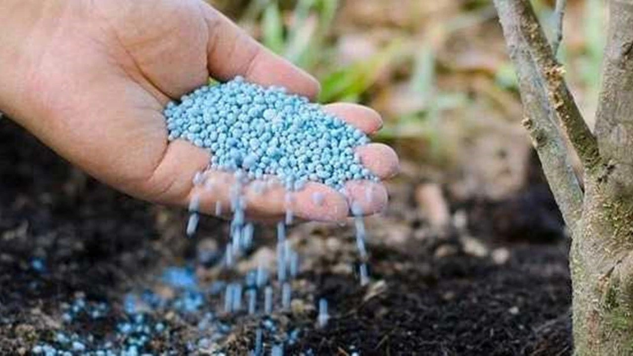 Rusya, amonyum nitrat gübresinin ihracatını geçici olarak durdurdu