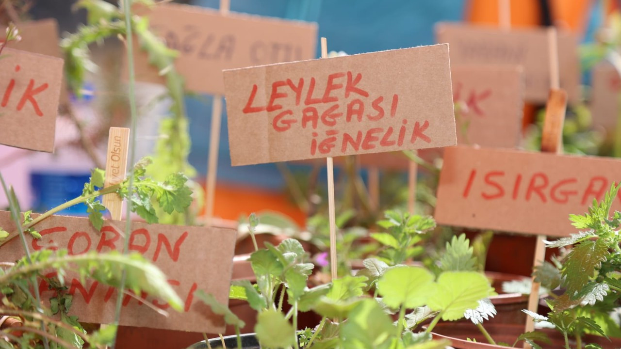 Urla Ot Bayramı, 28-29 Mart tarihlerinde yapılacak