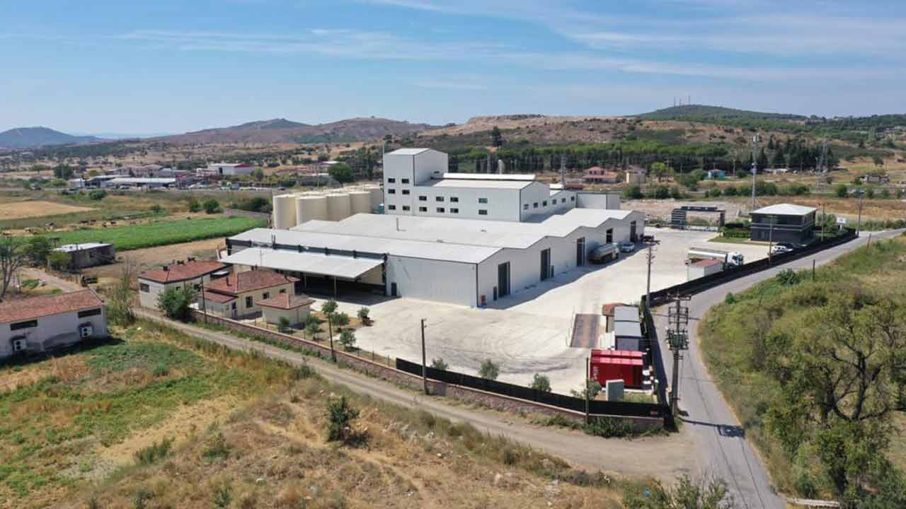 Aivalos CEO’su: Ayvalık zeytinyağına talep yurt içi ve yurt dışında artıyor