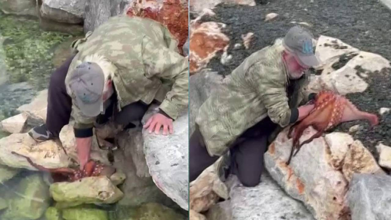 Görenler gözlerine inanamadı: Ahtapotu elleriyle yakaladı (Video)