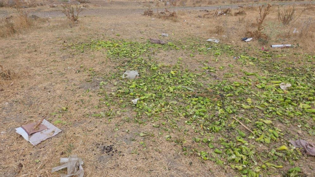 Ticaret Bakanlığı, sosyal medyada dolaşıma giren biber görüntülerine ilişkin açıklama