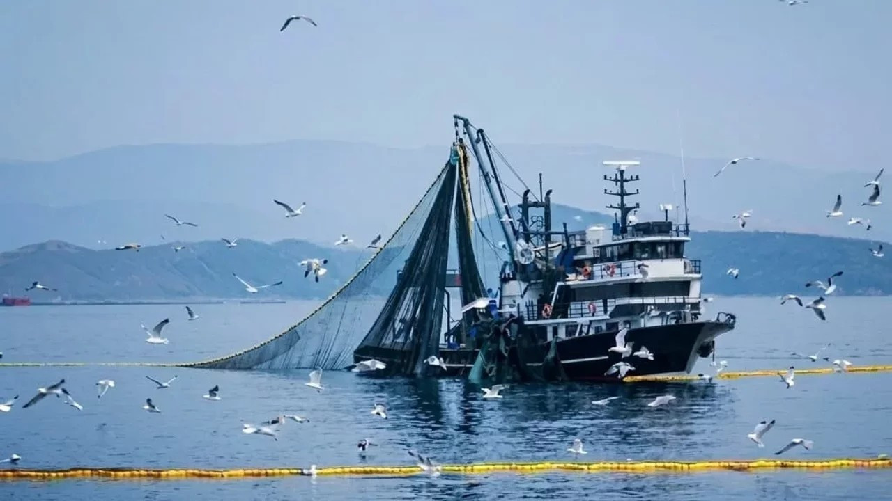 Bakanlık duyurdu: Denizlerde av yasağı başlıyor