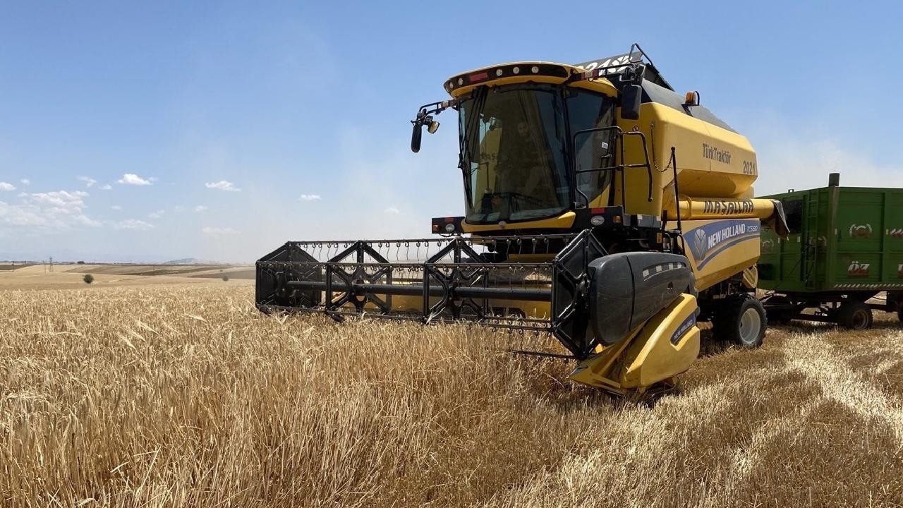 Yağışlar böyle sürerse hububatta üretim rekoru kırılacak