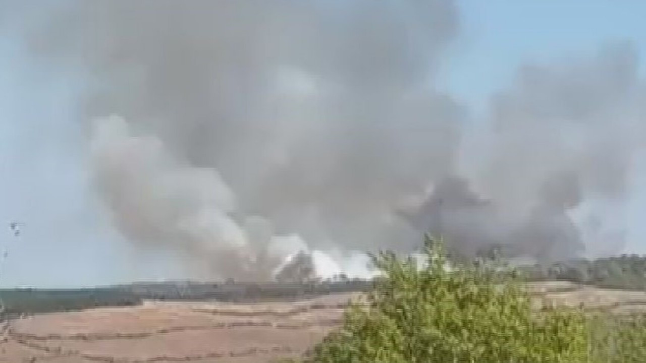 Beykoz'da ormanlık alanda korkutan yangın