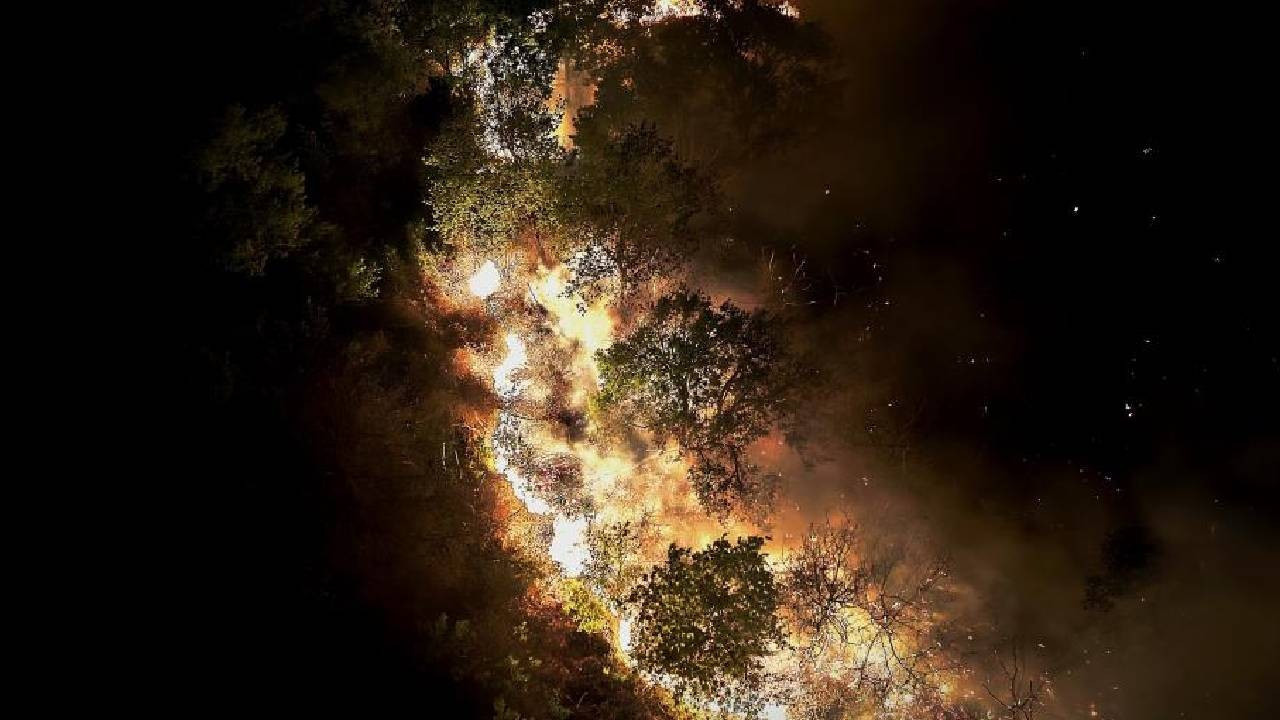 Beykoz'daki orman yangını 9 saatte kontrol alındı (Video)