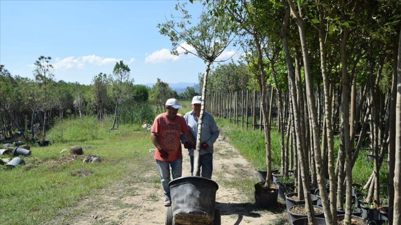 Meyve ve asma fidanlarında sertifikasyon sistemine ilişkin esaslar yeniden belirlendi