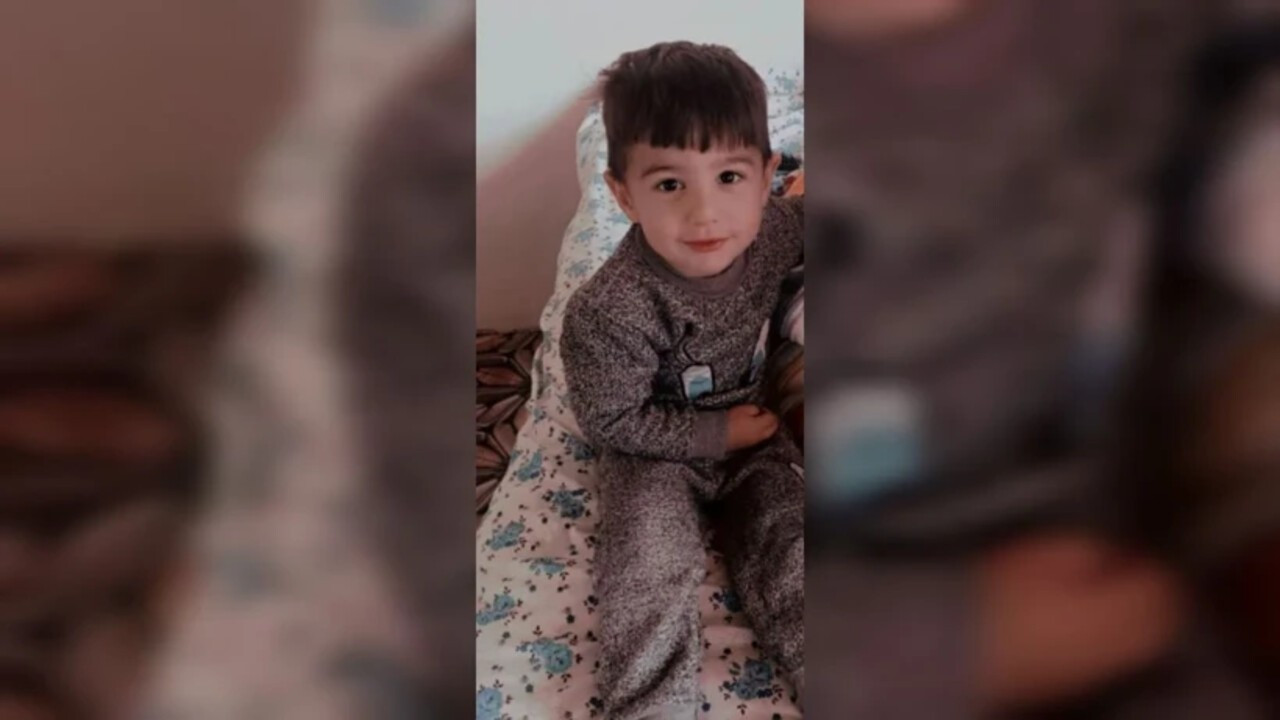 Bakan Çiftçi: Van'daki köpek saldırısıyla ilgili mülkiye müfettişi görevlendirildi