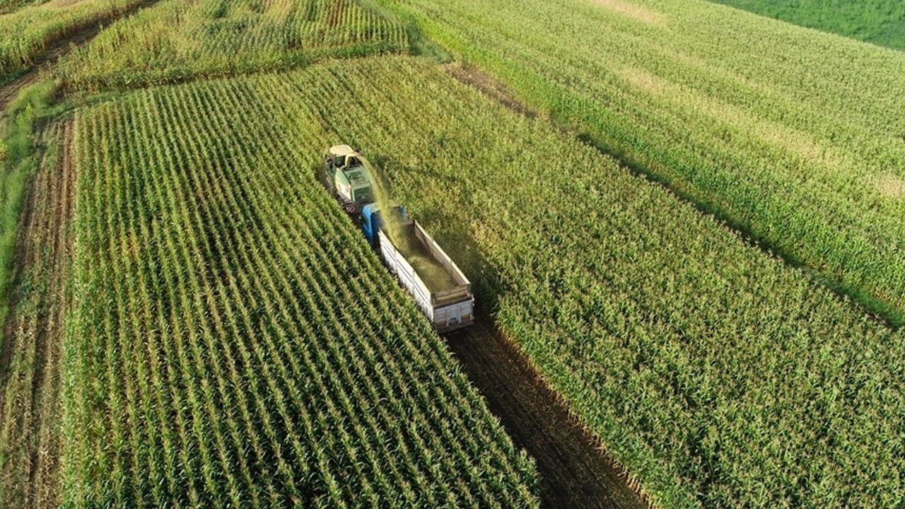 Tarımda maliyet baskısı sürüyor: Girdi fiyatları yüzde 34 arttı