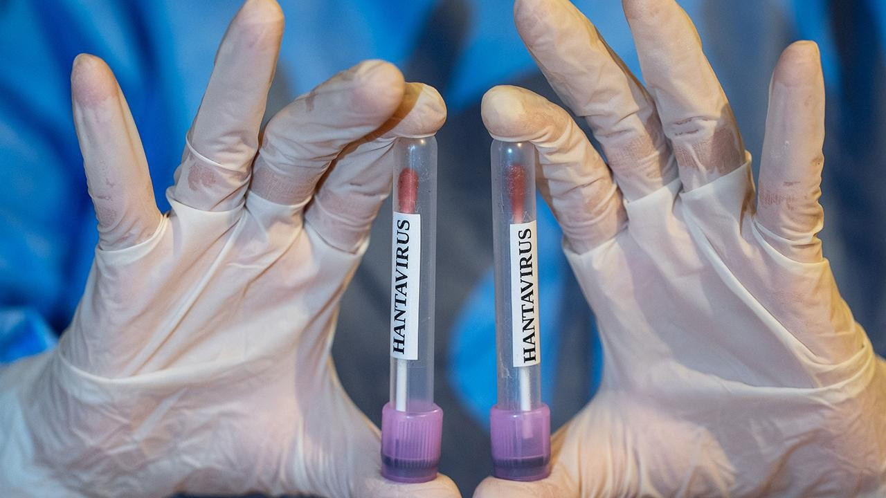 Hantavirüs, küresel bir salgına dönüşür mü?