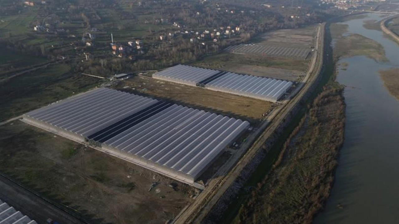 Çaycuma Sera OTB Hollanda'ya ilk ihracatını gerçekleştirdi