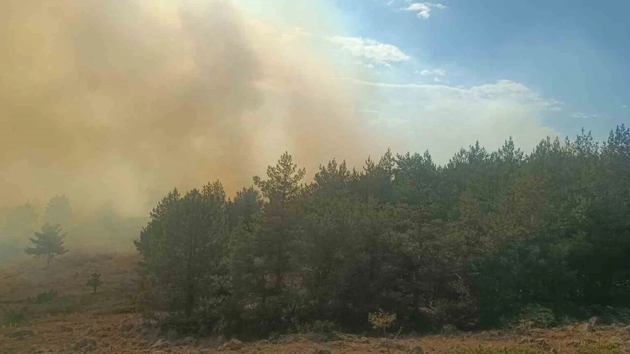 İstanbul ve Ankara'da korkutan orman yangını: Ekipler müdahale ediyor