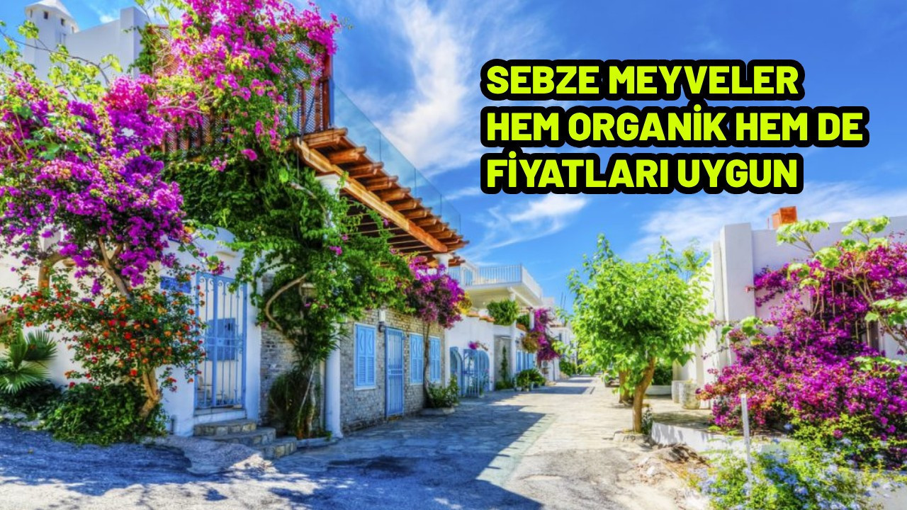 Tatile giden geri dönemiyor. Cittaslow olmasa da yerleşmek için mükemmel 13 ilçe