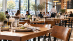 Restaurant spending decline impacts tissue industry sales