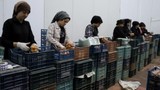 Depremzede girişimcilere can suyu! Yatırımlar için 200 milyon liralık destek verildi