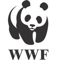 Hiçbir ülke güvende değil - Resim : 2