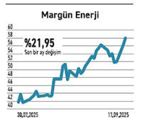 Toplam borcunu 7’ye katlayan bir şirket var - Resim : 6