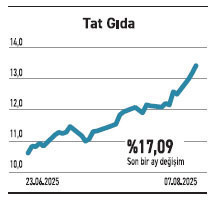 Aylık %50’yi aşan getiri sağlayan yatırım fonu var - Resim : 4