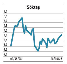 Bir fonun alımı sürüyor, 6 ayda %859 yükseldi - Resim : 5